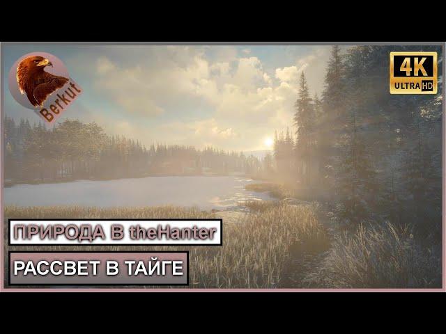 Рассвет в Тайге. Природа в theHunter call of the wild