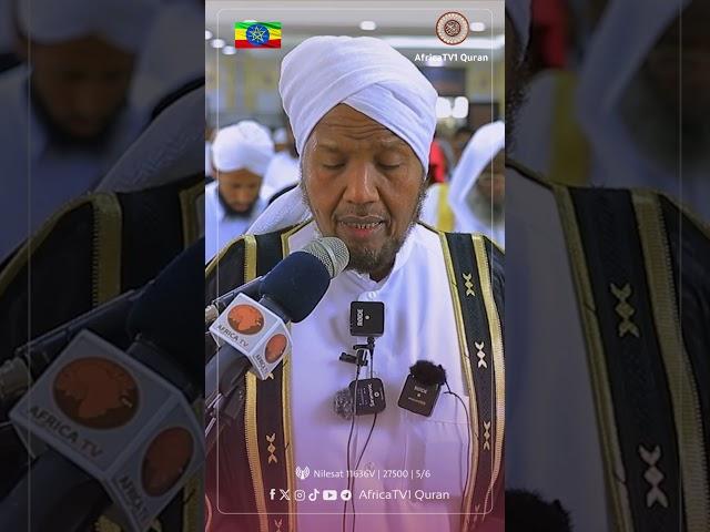 ቲላዋ ||በሸይኽ አብዱረሺድ አሊ ሱፊ...#አፍሪካ_ቲቪ1 #Africa_TV1‌‏ #የህይወት_ጐዳና #ቲላዋ#shorts