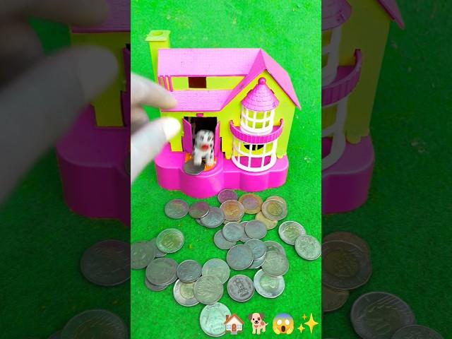 Turning Your Dog's Dreams into Dollars!Bank House  reviews 🪙 back #shortsfeed #jab #jin #shorts