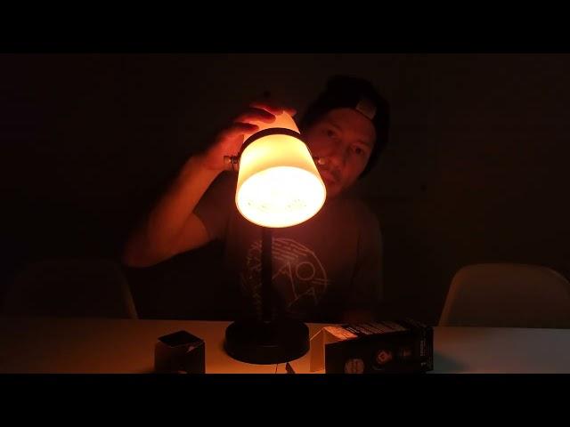 Edison Style Vintage Lighting CLV112 25 Watt 120 V Light Bulb Test See How it Looks