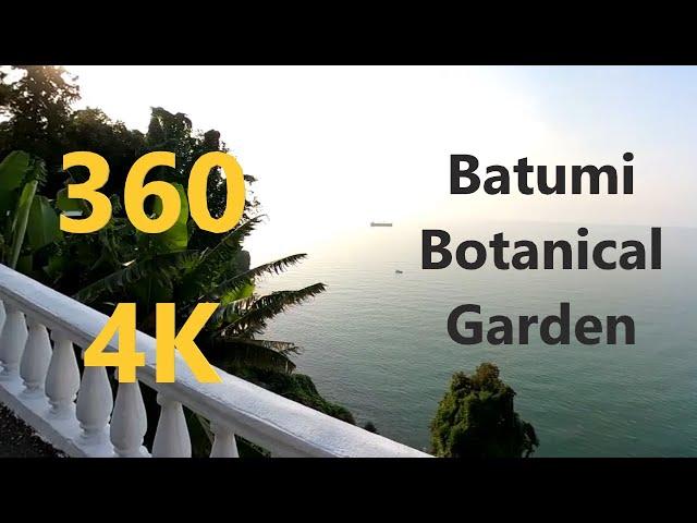 360 4K Batumi Botanical Garden | Ботанический сад Батуми