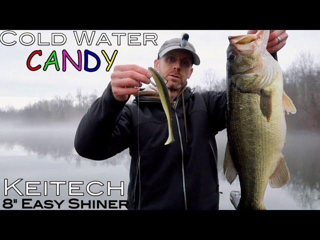 Cold Water Candy!  Winter bass fishing with the Keitech 8" Easy Shiner.