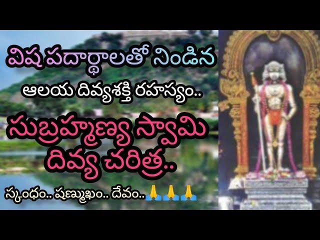 Unveiling Palani Subrahmanya Swamy's Hidden Powers | Palani Subrahmanya Swamy Temple Facts