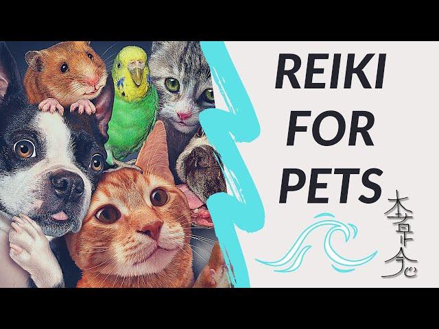 Reiki For Pets - Healing And Raising Pets' Vibration