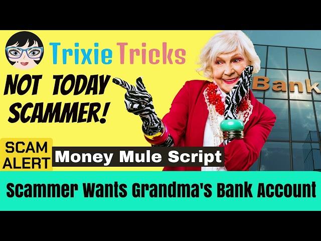 Hear a Money Mule Scam Script | Trixie Tricks Scammers