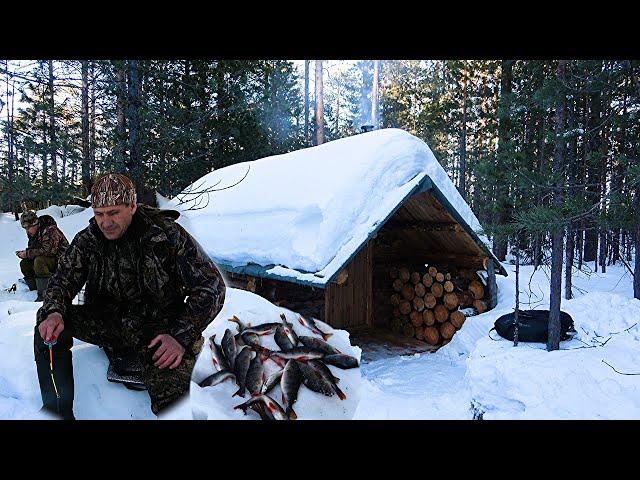 Наловили рыбы.  Изба скрылась под снегом. На приваде первые посетители.