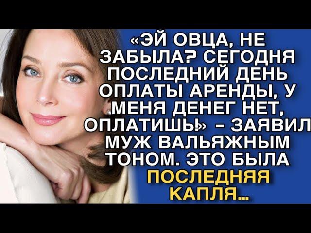 «ЭЙ ОВЦА, НЕ ЗАБЫЛА? СЕГОДНЯ ПОСЛЕДНИЙ ДЕНЬ ОПЛАТЫ АРЕНДЫ, У МЕНЯ ДЕНЕГ НЕТ, ОПЛАТИШЬ!» - ЗАЯВИЛ МУЖ