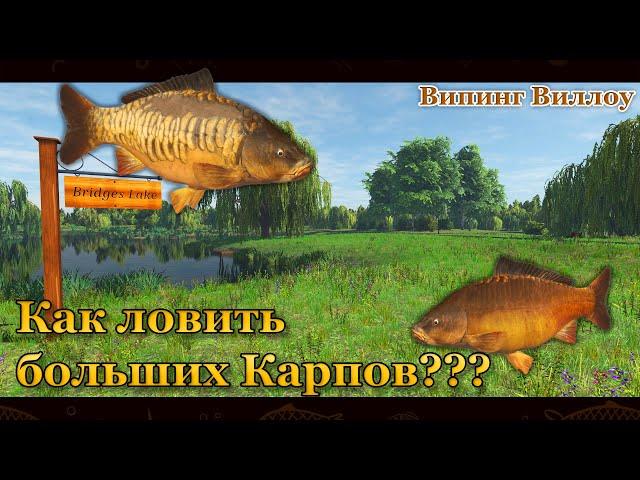 Fishing Planet. Как ловить больших карпов. Big Carp. (Випинг Виллоу / Weeping Willow)