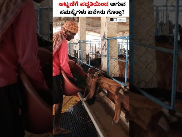 ಕಡಿಮೆ ಖರ್ಚಿನಲ್ಲಿ ಕುರಿ ಮೇಕೆ Shed ನಿರ್ಮಿಸೋದು ಹೇಗೆ? #shorts #sheepshed #goatshed #sheepfarming