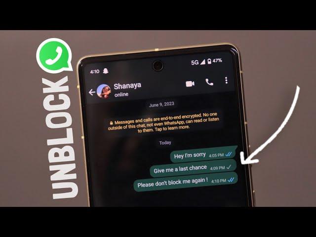 How to Unblock Yourself on WhatsApp If Someone Has Blocked You ?