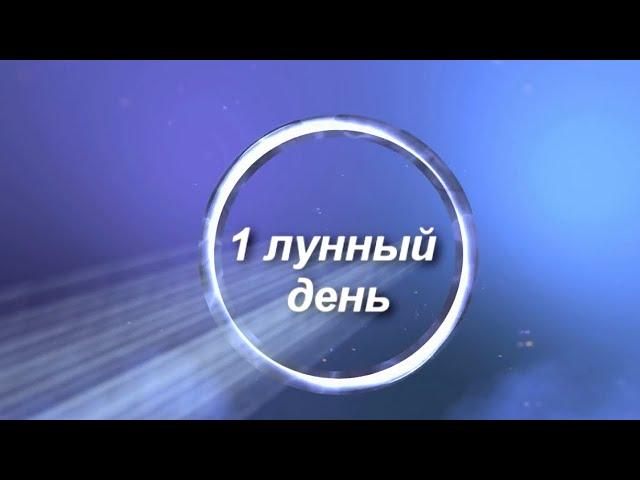 1 лунные сутки