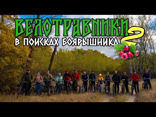 Велотравники 2: в поисках боярышника