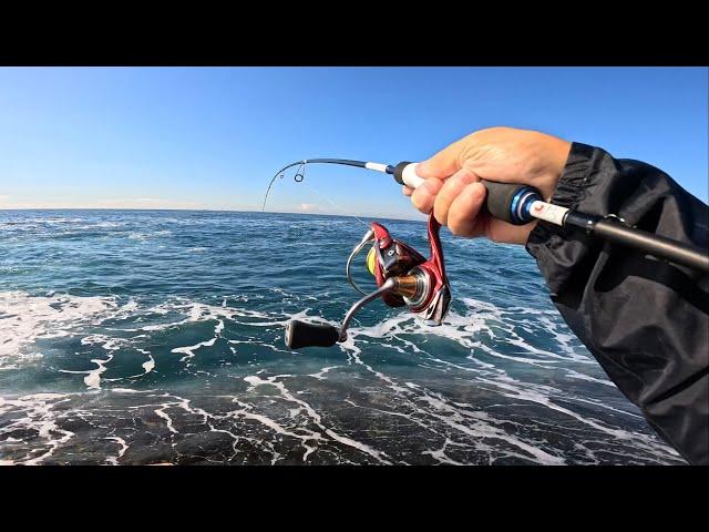 Light Gear, Big Fish, Challenge! | Ultralight Rock Fishing NSW, Australia