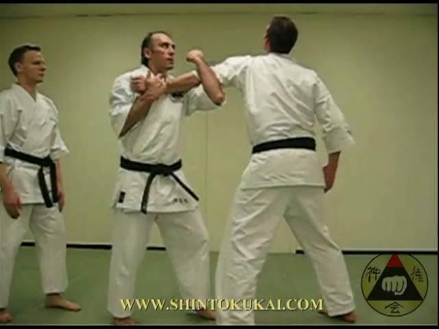 Okinawa Shorin-ryu Karate: Assorted Kata Bunkai (clip 2)