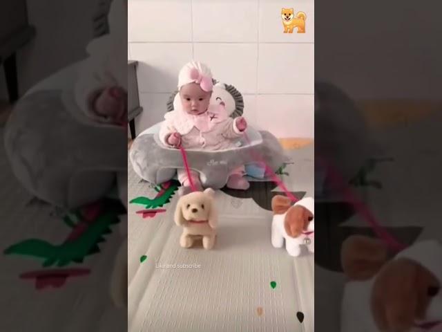 DOG️#trending#baby#comedy#funny#dog#petlover#animals#pet#shorts#shortvideo#top#funnyshorts#youtube