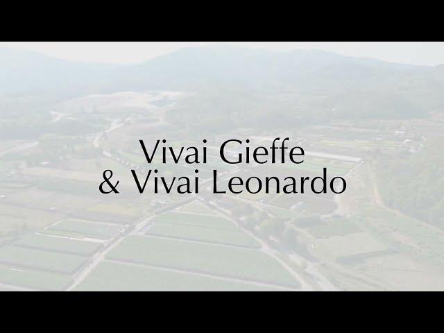 Vivai Gieffe & Vivai Leonardo