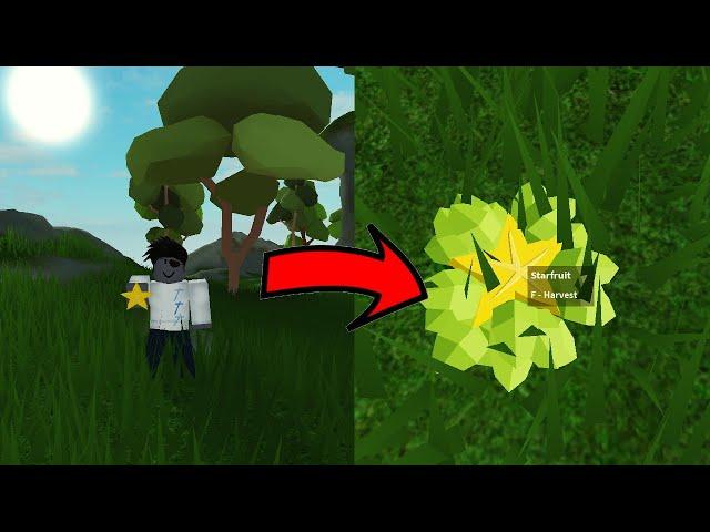 How to Get Starfruit | Roblox Skyblox