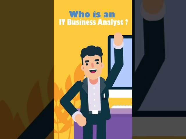 Who is an IT Business Analyst ?