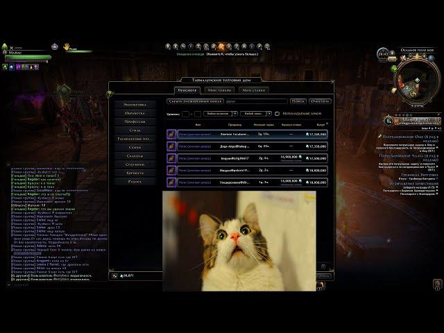 Шок контент , спутник за 17 млн. аб. Neverwinter online.