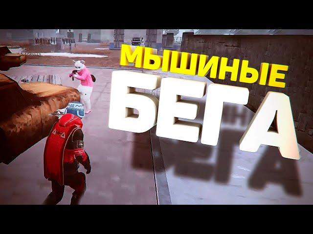 МЫШИНЫЕ БЕГА И ЭКЗОТИЧЕСКИЙ СТРИМЕР TORTEE