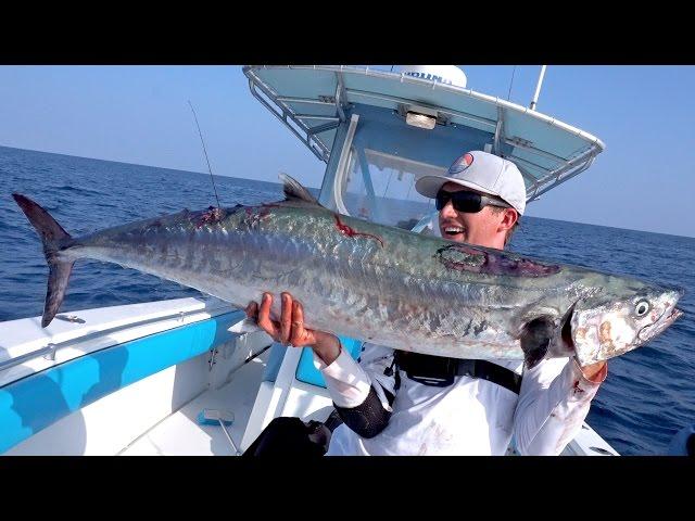 Slow Trolling for Monster Kingfish - ft. 1Rod1ReelFishing