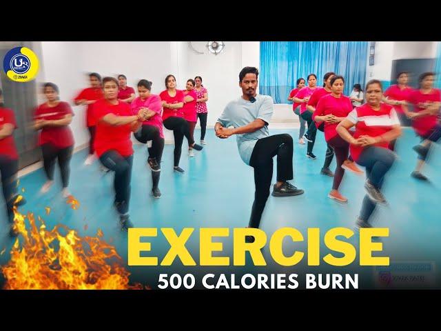 Full Body Workout | 500 Calories Burn | Fitness Video Exercise | Zumba Fitness