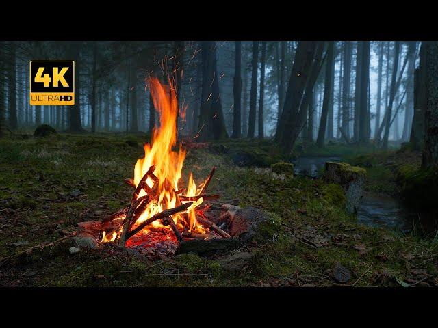 4K  Campfire in foggy Forest by the River  100% Authentic Sounds