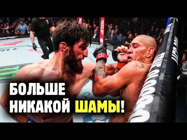 АНКАЛАЕВ ПРОТИВ ПЕРРЕЙРЫ, ГЕЙДЖИ - ФИЗИЕВ и другие бои UFC 313! Обзор от Яниса