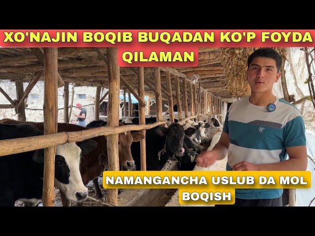 UY SHAROYITIDA XONAJIN BOQIB QANCHA DAROMAD QILSA BO’LADI