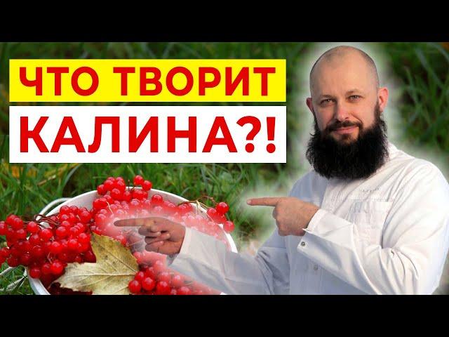 Супер ягода для здоровья и иммунитета — КАЛИНА! / Рецепт варенья из калины от БАБУШКИ!