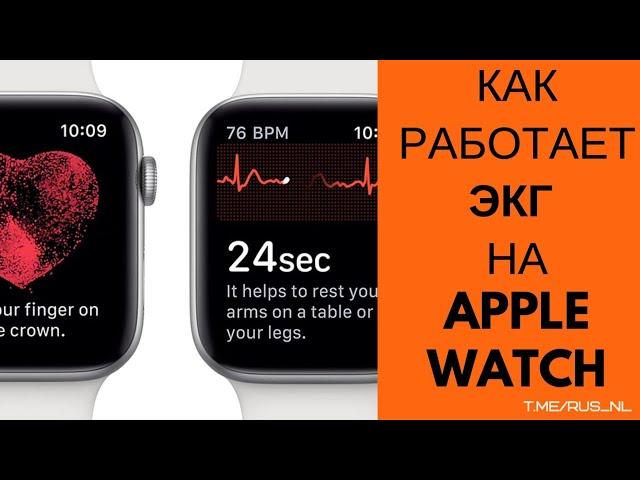 Как работает ЭКГ на Apple Watch