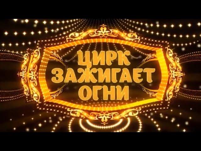 "Цирк зажигает огни" / Ольга Данилевская и Дмитрий Потехин (2016)