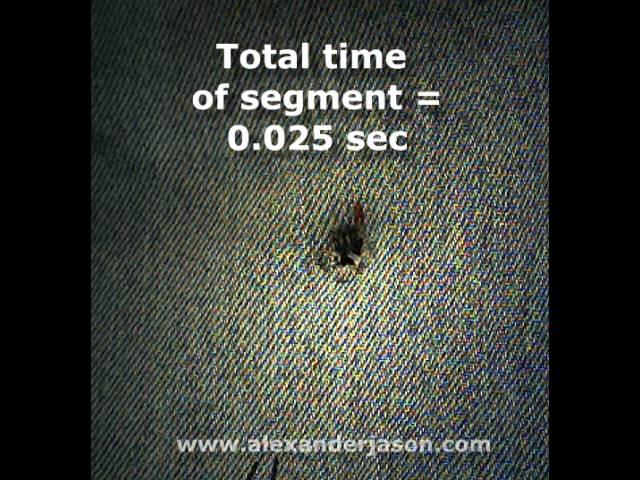 Fiber Movement: Bullet Thru Denim Fabric Alone & With Tissue Simulant Behind