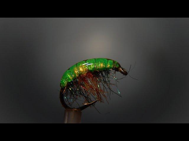 Gammarus.  Scud Fly. #flyfishing #flytying #trout #diy