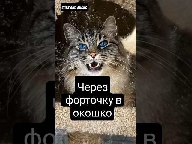 Эдуард Успенский - Кошка. Ai песня на стихи. #cat #котики #успенский #кошка #стихи #музыка #кот