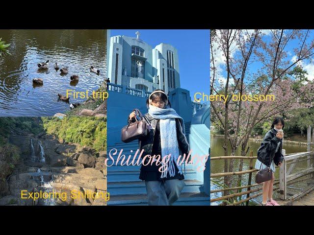 My first trip ever to Shillong ( Meghalaya) || 2 days trip , sightseeing, cherry blossom