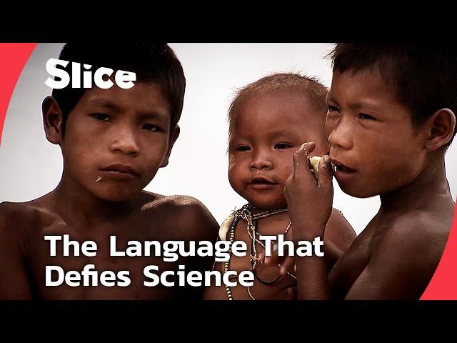 Pirahã: The Amazonian Tribe That Challenges Everything We Know About Language | SLICE