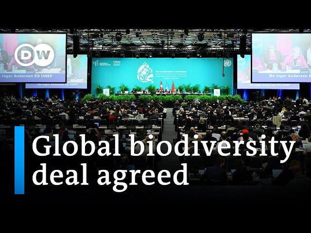 UN conference reaches historic biodiversity deal | DW News