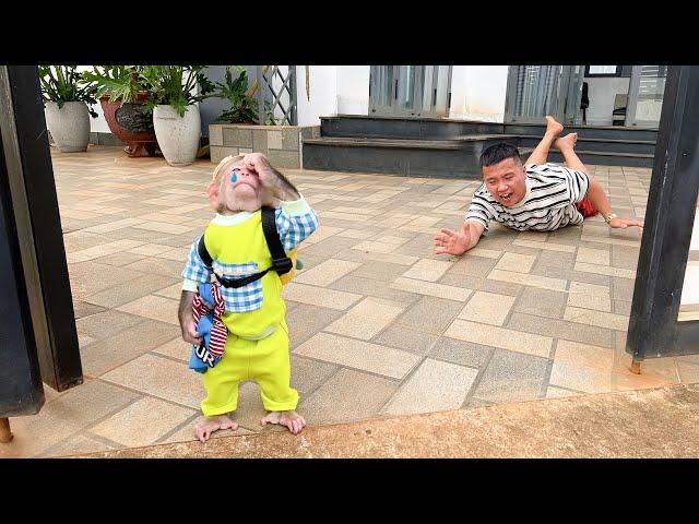 Cubis monkey ran away from home crying!