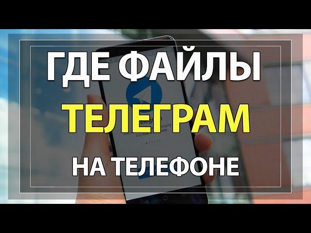 Где сохраняются ФАЙЛЫ с ТЕЛЕГРАМА на телефоне Андроид!