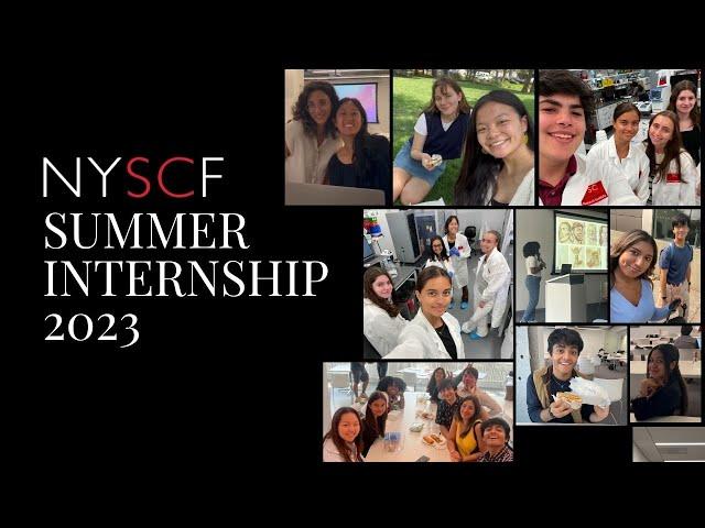 Meet the 2023 NYSCF Summer Interns