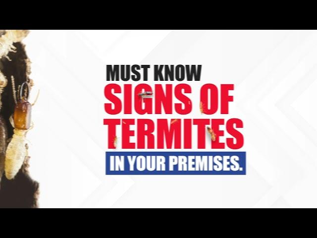 Must Know Signs Of Termite Infestation.