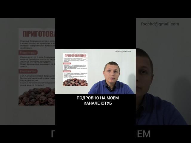 Когда не принимать Боярышник #зож #здоровье #боярышник #сосуды #сердце #мозг #травы