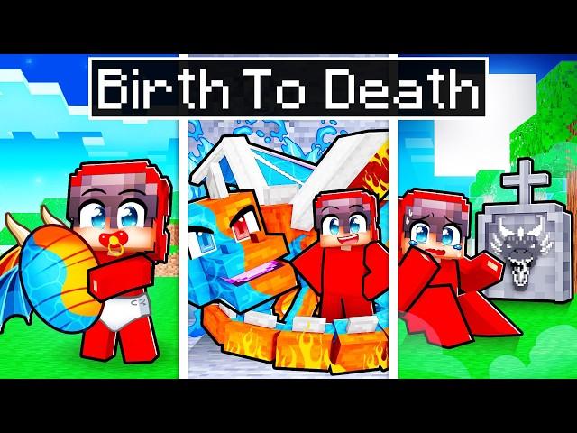 BIRTH TO DEATH of an ELEMENTAL DRAGON in Minecraft!