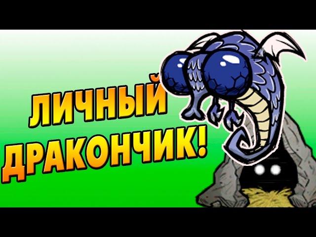 Don't Starve Together (SOLO) #19 - Мой личный дракончик!