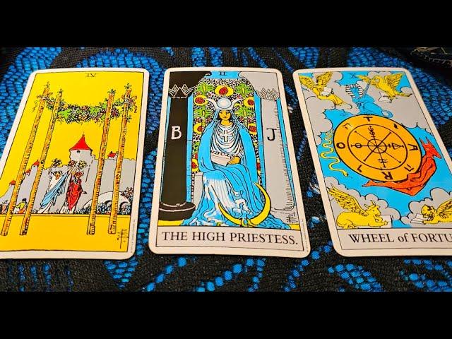 GEMINI  A TRUTH BOMB IS COMING! ️6 NOVEMBER 2024 DAILY TAROT