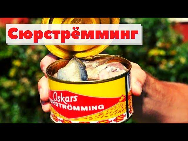 Surströmming - How it`s made