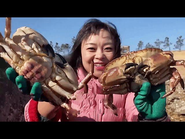 Dozens of pounds of sandfish and several huge king crabs were washed out of the drainpipe!