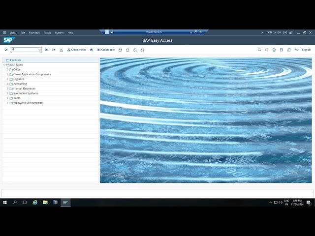 SAP T-Codes for Performance Analysis - Session 1