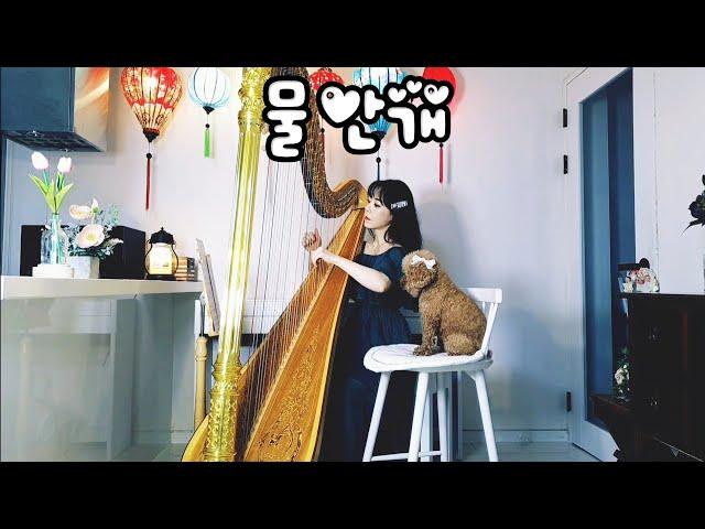 [물안개] 석미경 / Water Fog - 하프연주(Harp Cover)